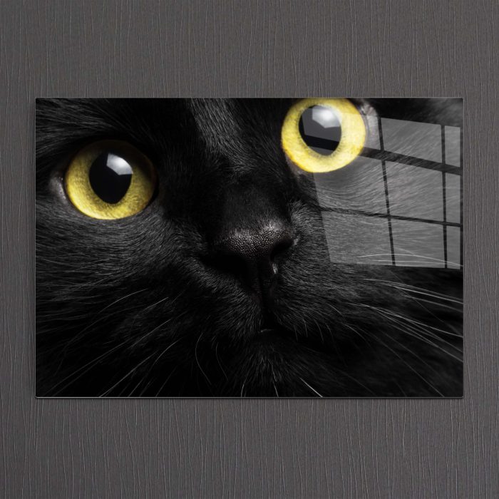 Bourneo Dekoratif Yatay Cam Tablo Black Cat
