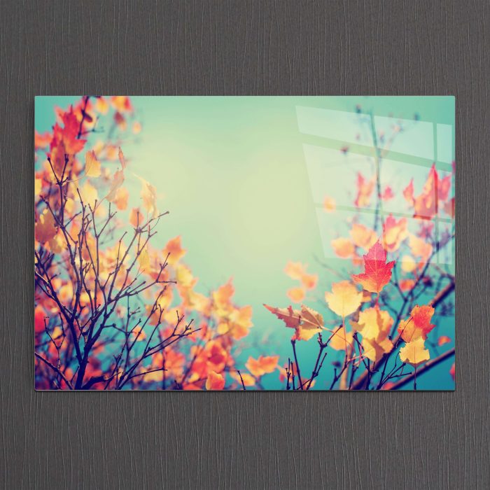 Bourneo Dekoratif Yatay Cam Tablo Colorful Autumn Trees