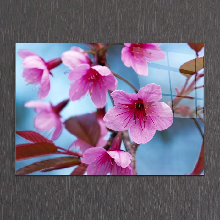 Bourneo Dekoratif Yatay Cam Tablo Branch of Pink Sakura