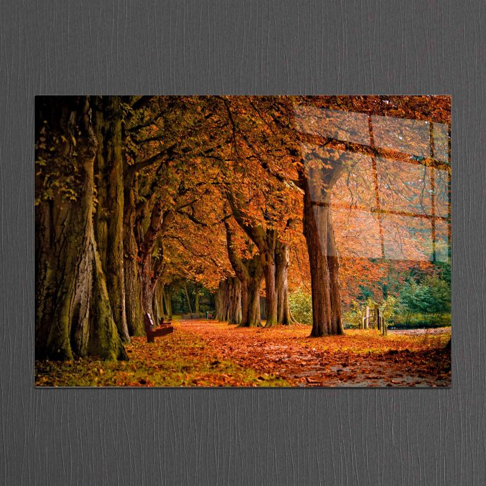 Bourneo Dekoratif Yatay Cam Tablo Autumn in Park