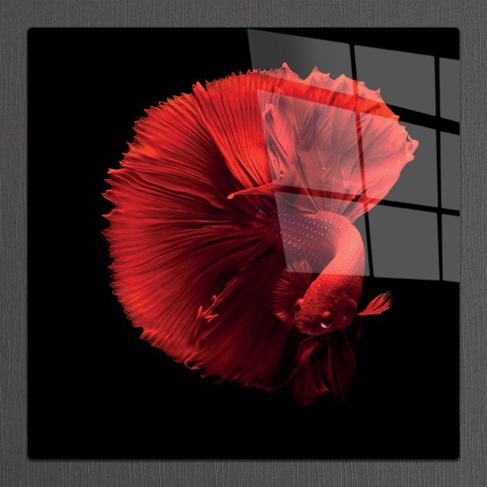 Bourneo Dekoratif Kare Cam Tablo Red Fish