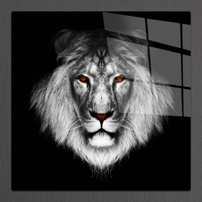Bourneo Dekoratif Kare Cam Tablo Lion with Red Eyes