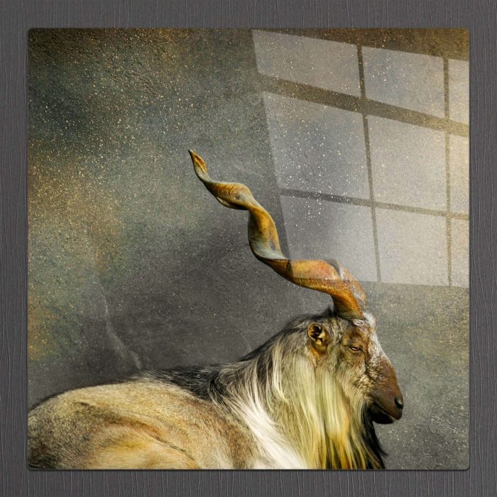 Bourneo Dekoratif Kare Cam Tablo Horned Ram