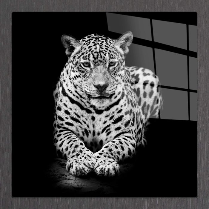 Bourneo Dekoratif Kare Cam Tablo Leopard Black and White