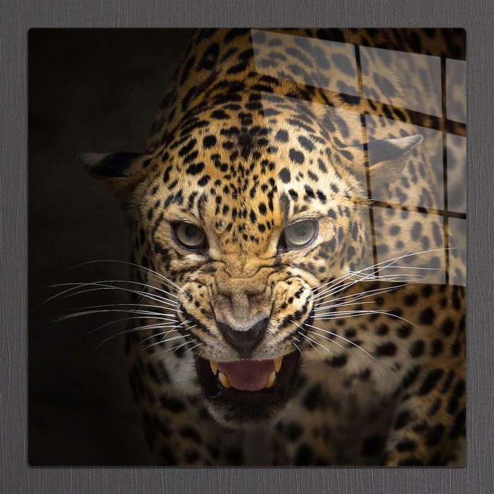 Bourneo Dekoratif Kare Cam Tablo Tempered Leopard
