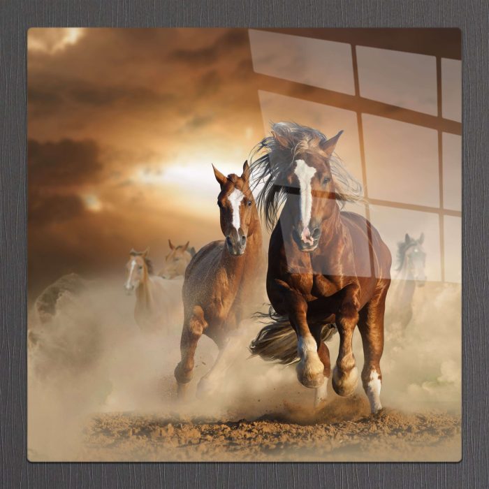 Bourneo Dekoratif Kare Cam Tablo Horses in Dust