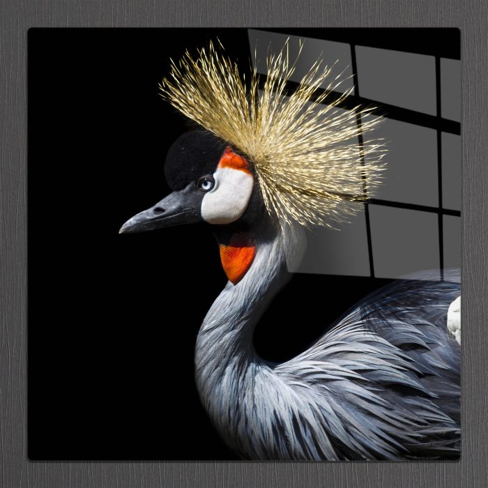 Bourneo Dekoratif Kare Cam Tablo Crowned Crane