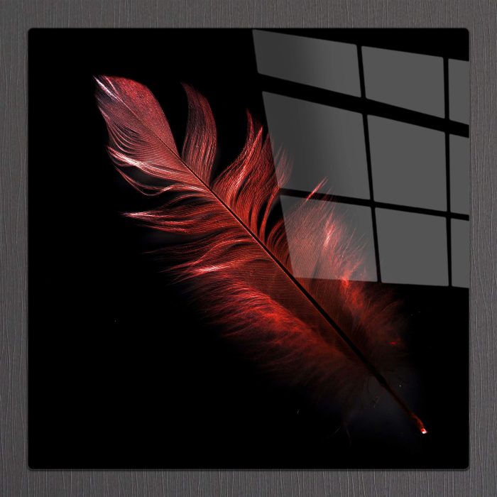 Bourneo Dekoratif Kare Cam Tablo Red Bird Feather