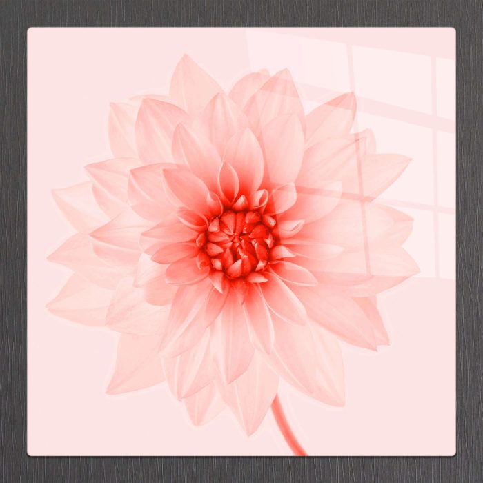 Bourneo Dekoratif Kare Cam Tablo Dahlia Red