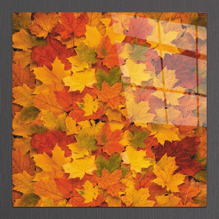 Bourneo Dekoratif Kare Cam Tablo Autumn Leaves