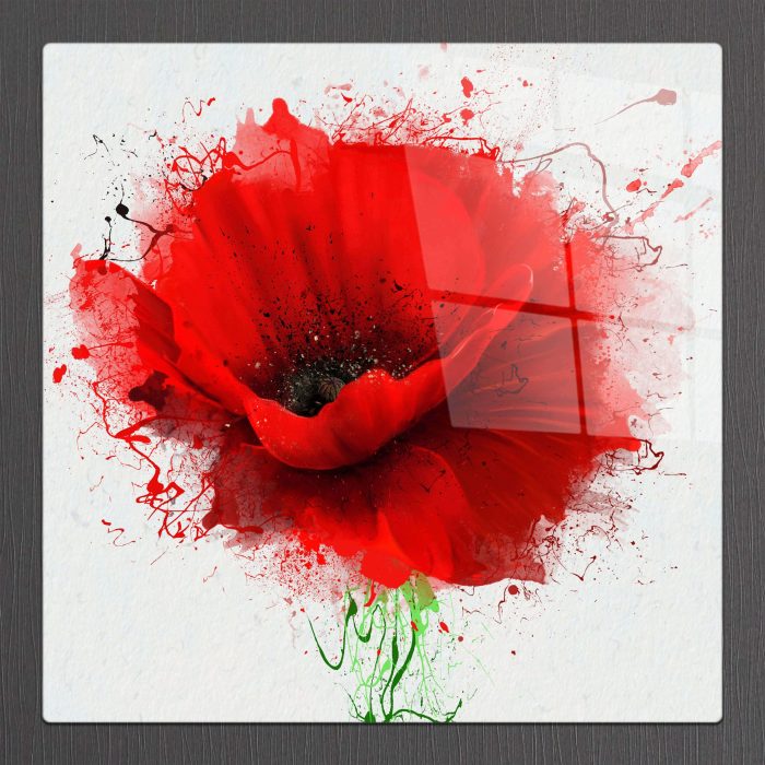 Bourneo Dekoratif Kare Cam Tablo Red Poppy