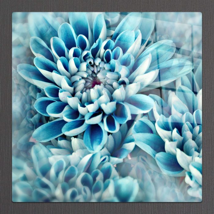 Bourneo Dekoratif Kare Cam Tablo Blue Flower Petals