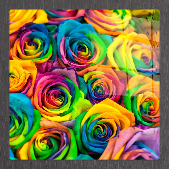 Bourneo Dekoratif Kare Cam Tablo Rainbow Roses
