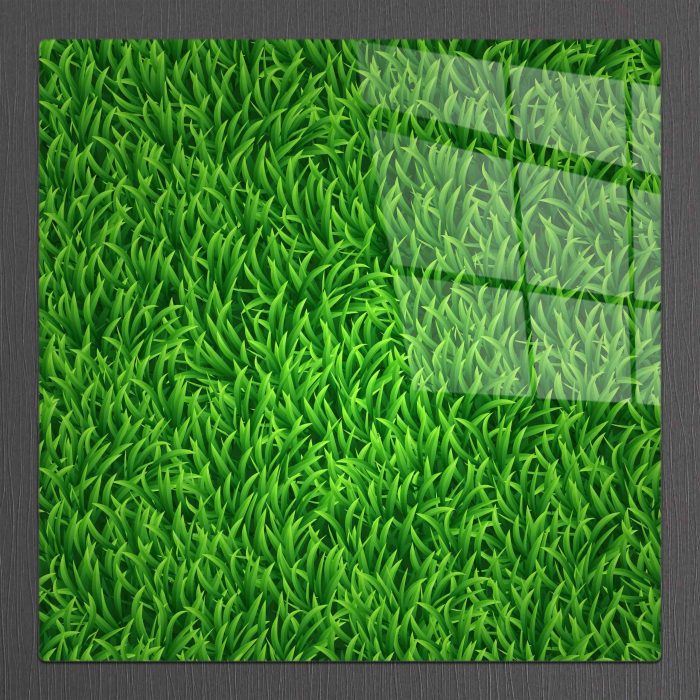 Bourneo Dekoratif Kare Cam Tablo Illustration Grass