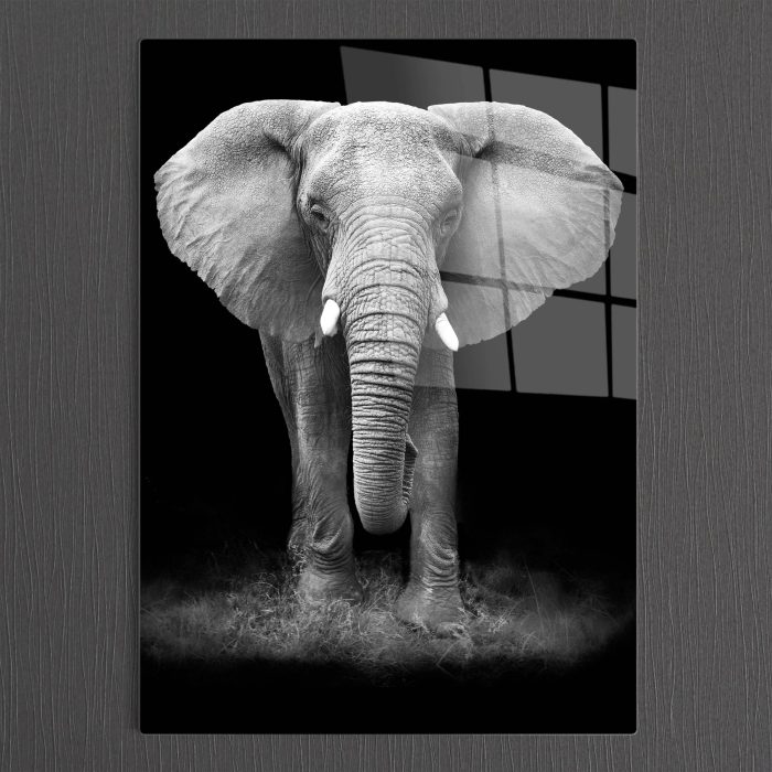 Bourneo Dekoratif Dikey Cam Tablo Elephant