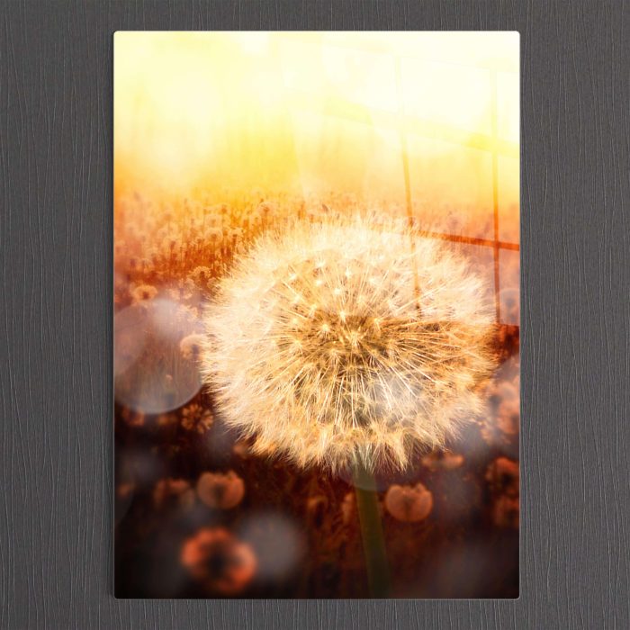Bourneo Dekoratif Dikey Cam Tablo Dandelion at Sunset