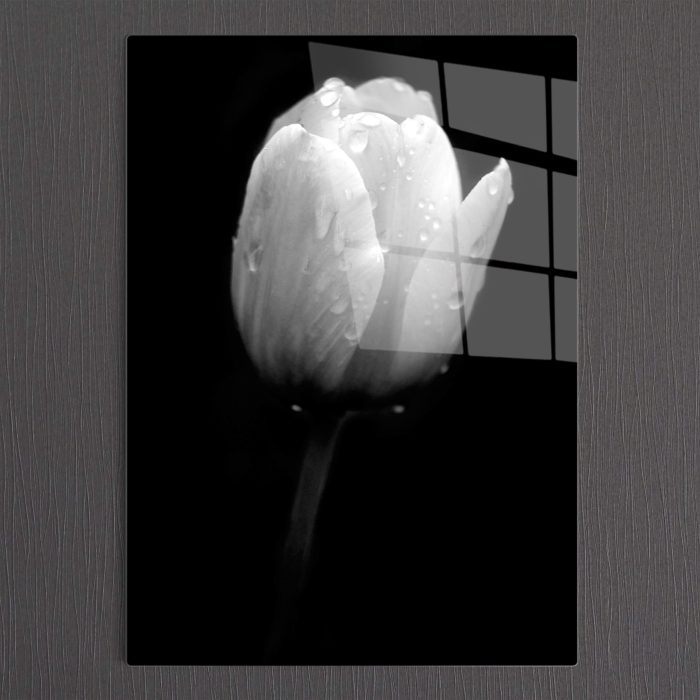 Bourneo Dekoratif Dikey Cam Tablo Tulip After Rain