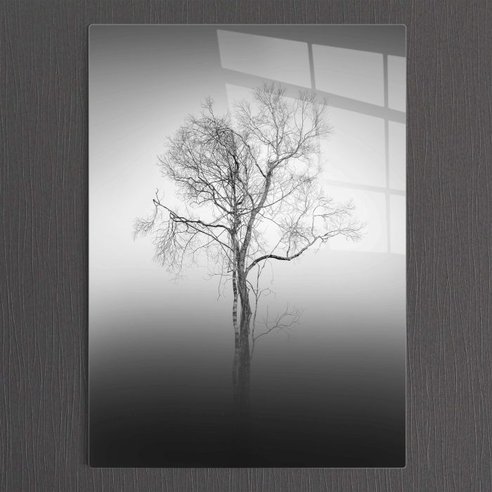 Bourneo Dekoratif Dikey Cam Tablo Defoliated Tree